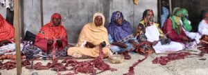 Femmes pastorales au Sahel : le CILSS appelle à investir dans leur autonomisation économique